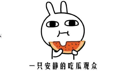 吃瓜网,吃瓜网带你领略明星幕后故事