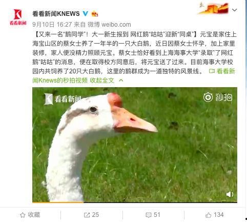 网红黑料爆料网在线看 网红大鹅,大鹅事件在线观看全记录